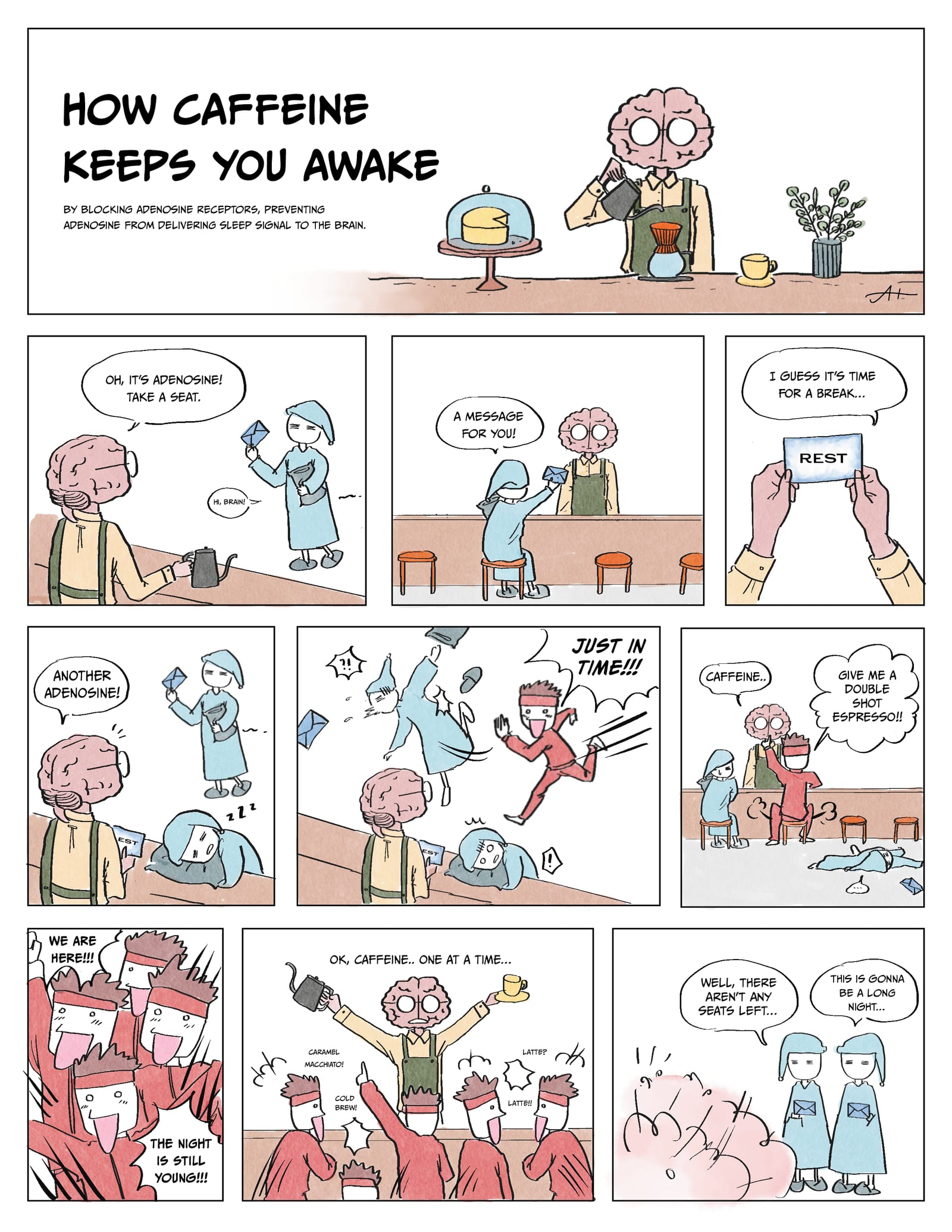 Scientific comic about caffeine and adenosine