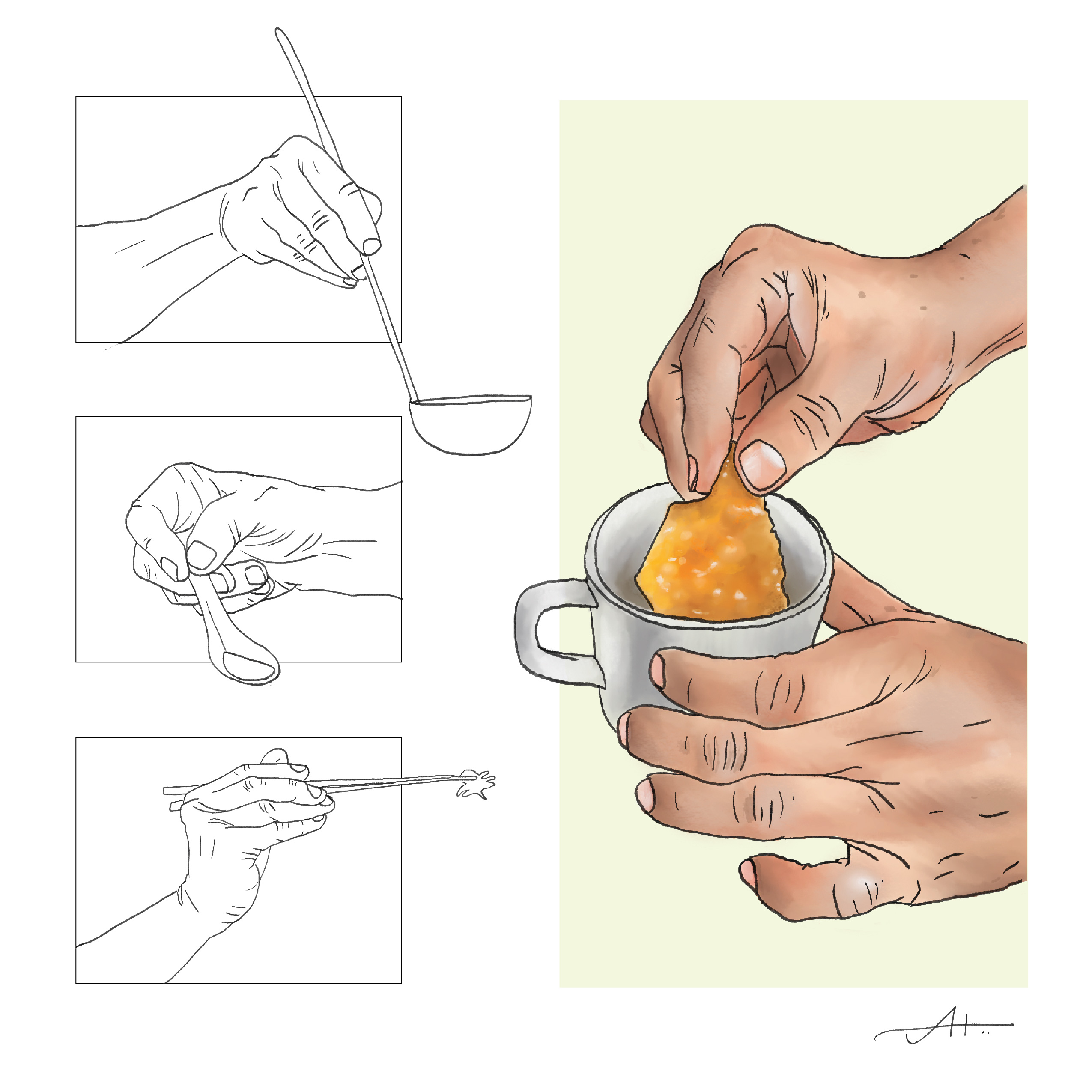 Anatomical hand studies